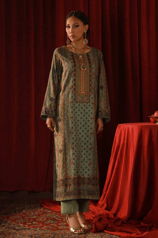 Zebunnisa Velvet Set - Green