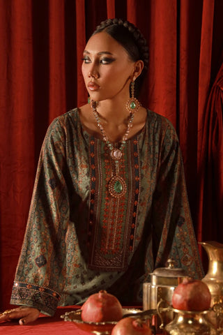 Zebunnisa Velvet Set - Green