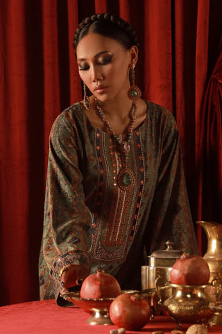 Zebunnisa Velvet Set - Green