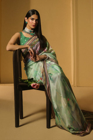 Hoor Saree