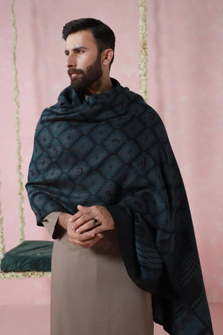 Parwana Weaved Shawl - Teal