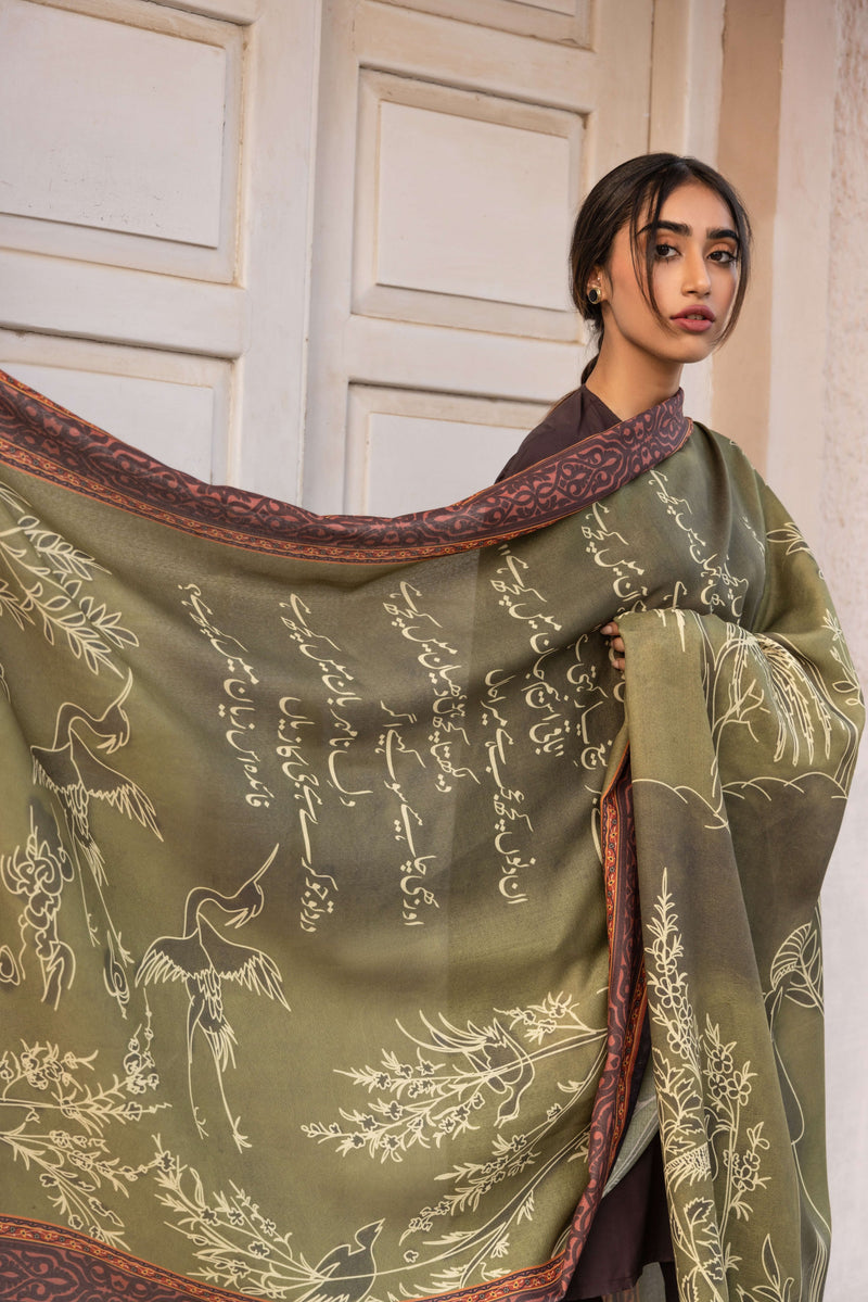 Gumaan Odhni - Shaded Olive Green