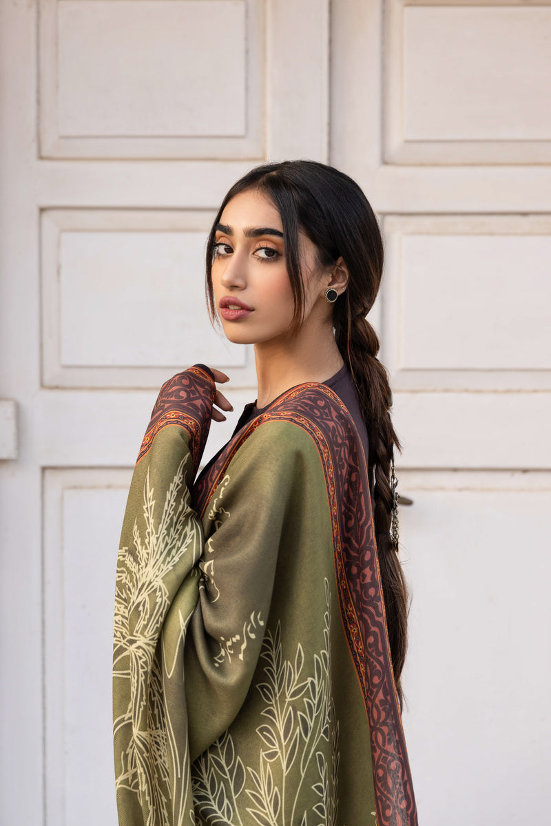 Gumaan Odhni - Shaded Olive Green